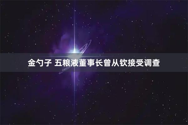 金勺子 五粮液董事长曾从钦接受调查