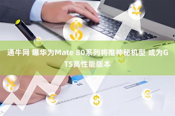 通牛网 曝华为Mate 80系列将推神秘机型 或为GTS高性能版本