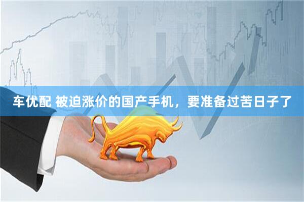 车优配 被迫涨价的国产手机，要准备过苦日子了