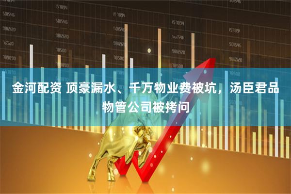 金河配资 顶豪漏水、千万物业费被坑，汤臣君品物管公司被拷问