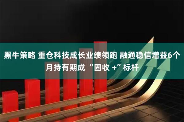 黑牛策略 重仓科技成长业绩领跑 融通稳信增益6个月持有期成 “固收 +”标杆